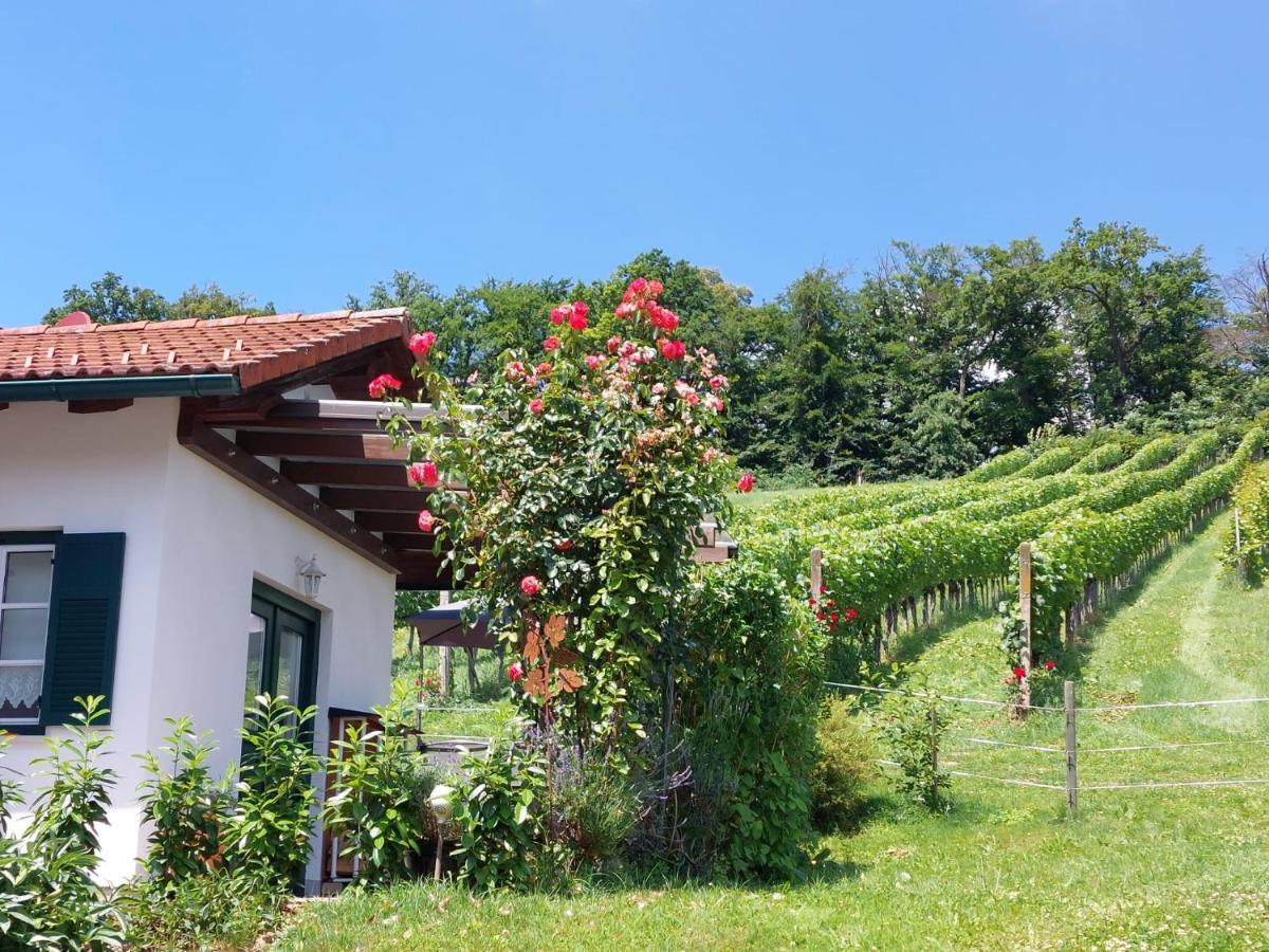 Wein & Wohnen Matzl - Ferienwohnung ฟูสเตนเฟลด์ ภายนอก รูปภาพ